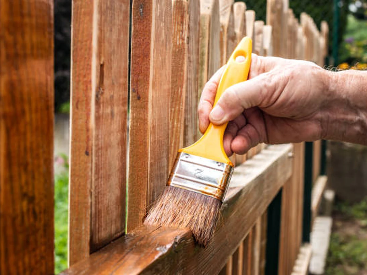 Hand applying fence stain with brush to wooden fence in Ipswich